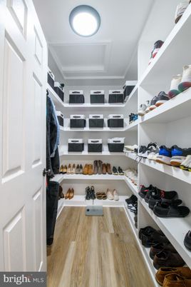 Interior, Walk-in Closets, Wood Texture Flooring