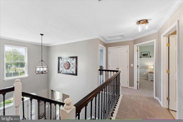Chandelier, Interior, Pendant Lights