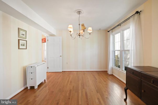 Chandelier, Interior, Wood Texture Flooring