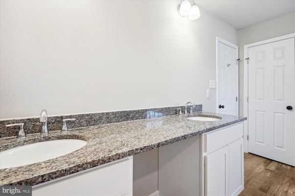 Bathroom, Dual Sink Vanities, Interior, Wood Texture Flooring
