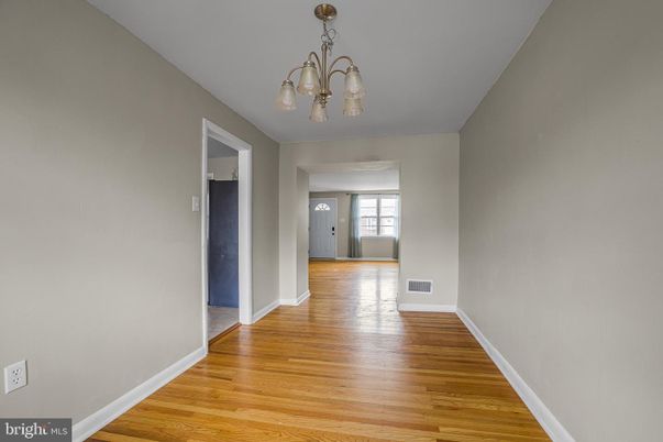 Chandelier, Interior, Wood Texture Flooring
