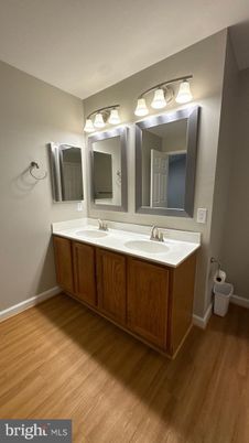 Bathroom, Dual Sink Vanities, Interior, Wood Texture Flooring