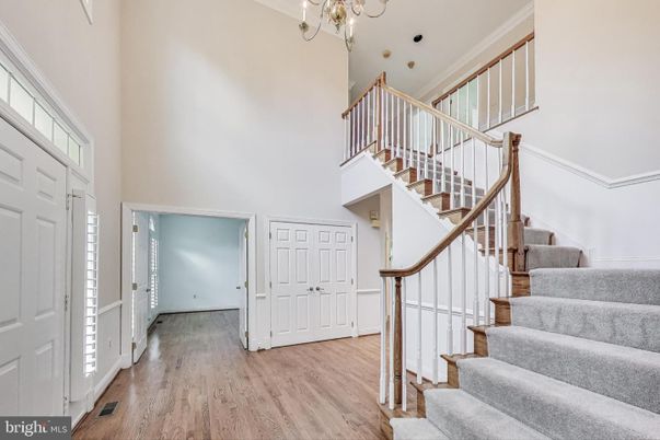 Chandelier, Interior, Wood Texture Flooring