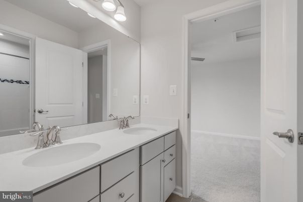 Bathroom, Dual Sink Vanities, Interior