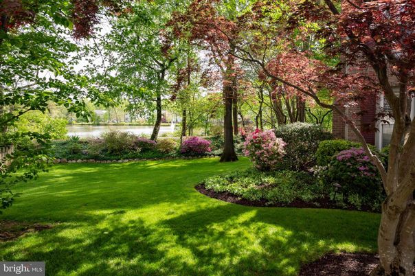 Backyard, Exterior, Water
