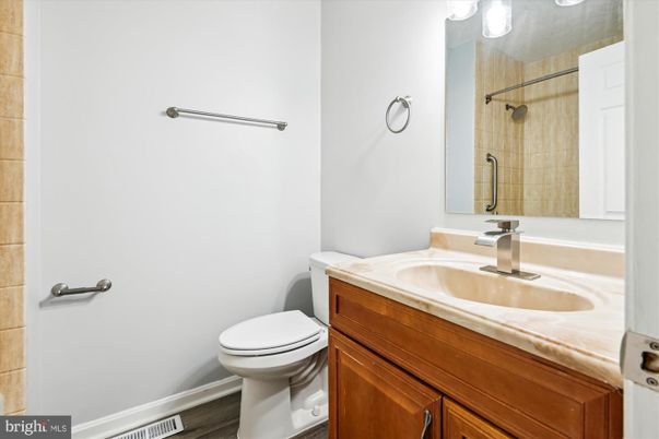 Bathroom, Interior, Wood Texture Flooring