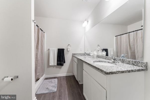 Bathroom, Dual Sink Vanities, Interior, Wood Texture Flooring