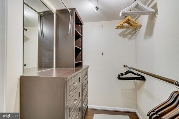 Interior, Walk-in Closets, Wood Texture Flooring