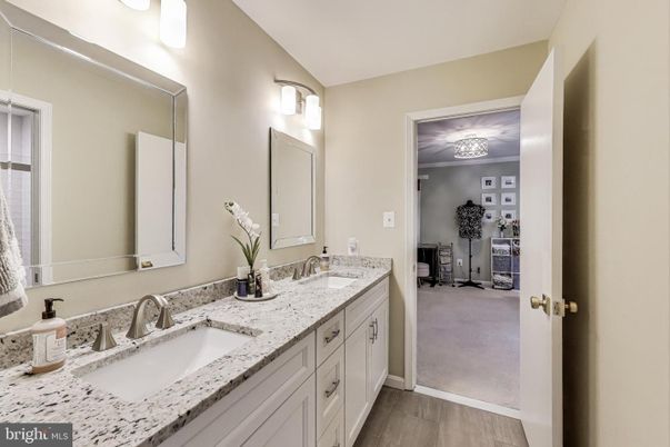 Bathroom, Dual Sink Vanities, Interior, Wood Texture Flooring