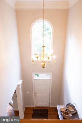 Chandelier, Interior, Wood Texture Flooring