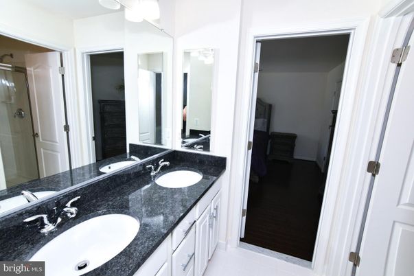 Bathroom, Dual Sink Vanities, Interior, Wood Texture Flooring