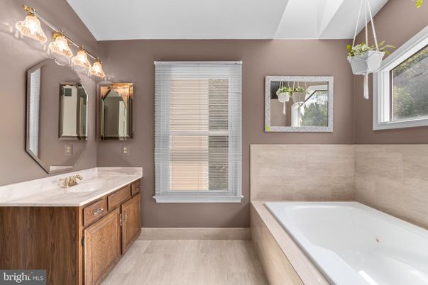 Bathroom, Dual Sink Vanities, Interior, Wood Texture Flooring