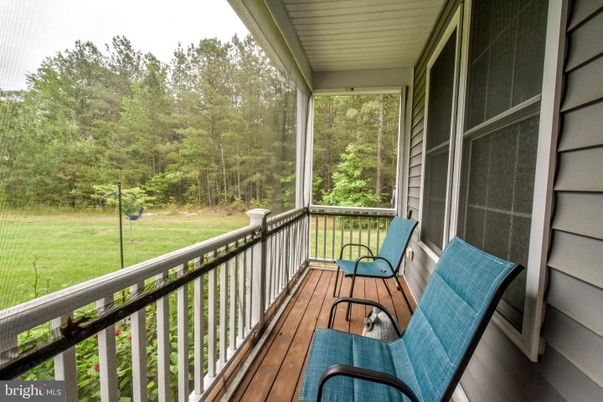 Interior, Sun Room, Wood Texture Flooring