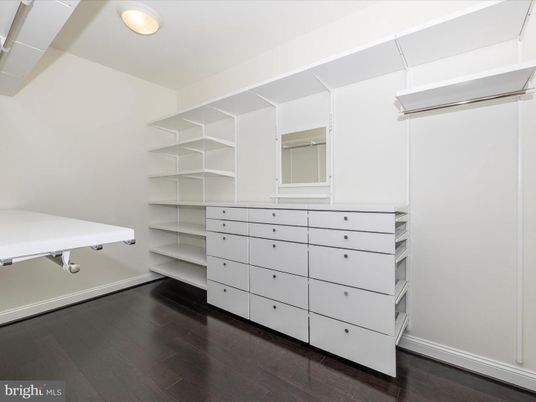 Interior, Walk-in Closets, Wood Texture Flooring