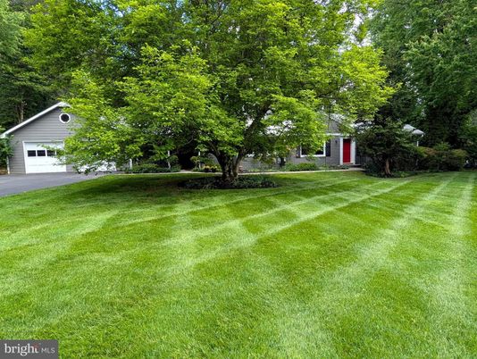 Backyard, Detached Garage, Exterior