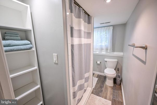 Bathroom, Interior, Recessed Lighting, Wood Texture Flooring