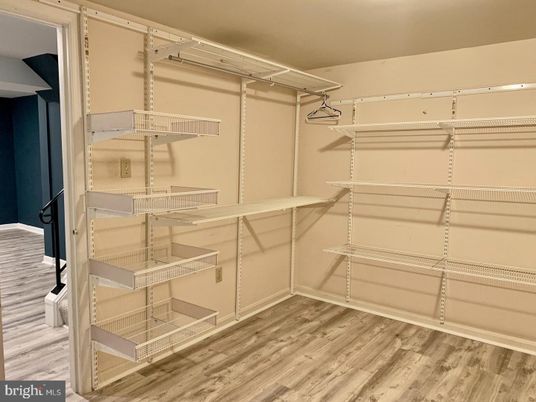 Interior, Walk-in Closets, Wood Texture Flooring