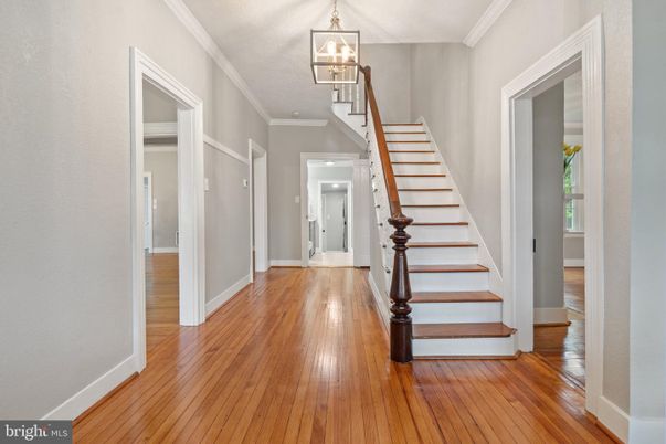 Interior, Pendant Lights, Wood Texture Flooring