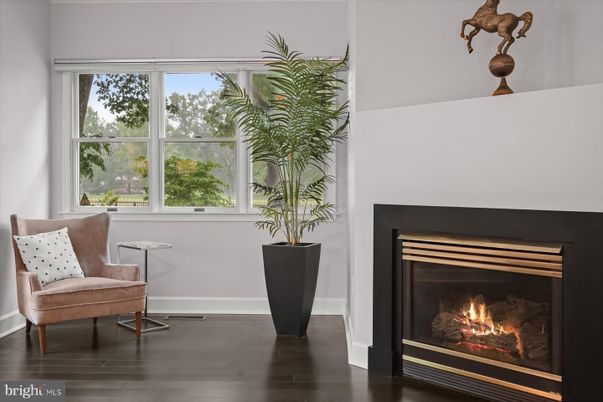 Fireplace, Interior, Wood Texture Flooring