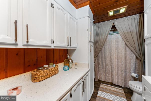 Bathroom, Interior, Wooden Ceilings, Wood Texture Flooring