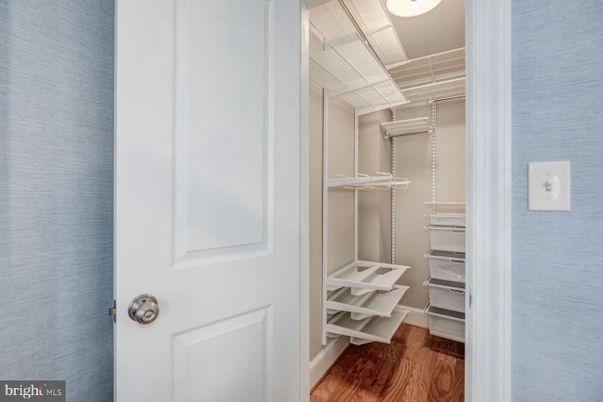 Interior, Walk-in Closets, Wood Texture Flooring