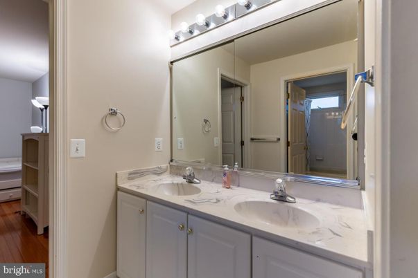 Bathroom, Dual Sink Vanities, Interior, Wood Texture Flooring