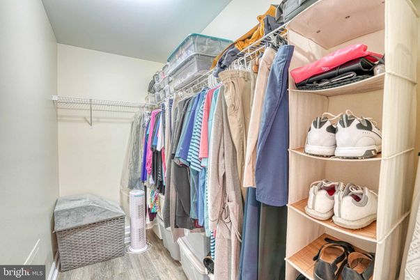 Interior, Walk-in Closets, Wood Texture Flooring