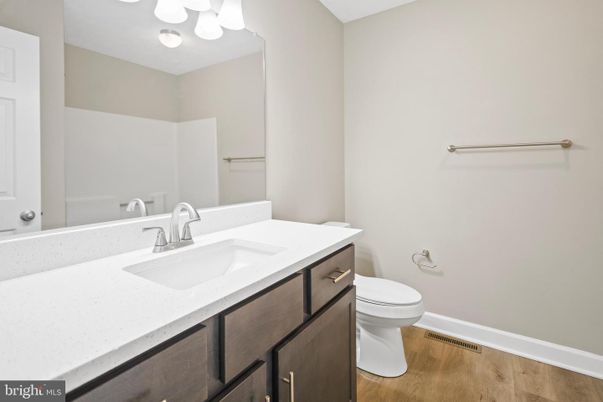 Bathroom, Interior, Wood Texture Flooring