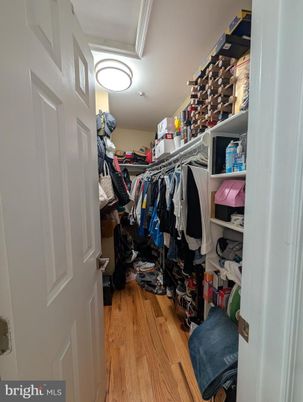 Interior, Walk-in Closets, Wood Texture Flooring