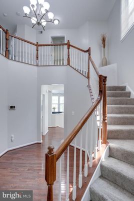 Chandelier, Interior, Wood Texture Flooring