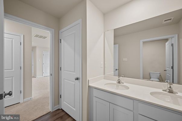 Bathroom, Dual Sink Vanities, Interior, Wood Texture Flooring