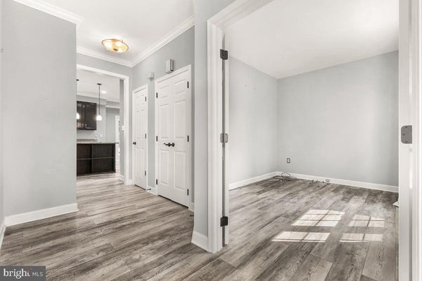 Empty room, Interior, Pendant Lights, Wood Texture Flooring