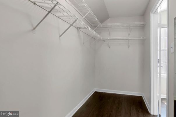 Interior, Walk-in Closets, Wood Texture Flooring