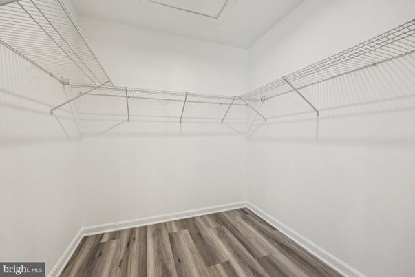 Interior, Walk-in Closets, Wood Texture Flooring