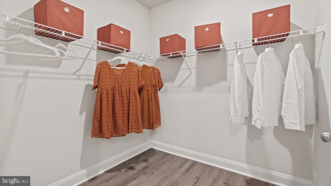 Interior, Walk-in Closets, Wood Texture Flooring
