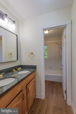 Bathroom, Dual Sink Vanities, Interior, Wood Texture Flooring