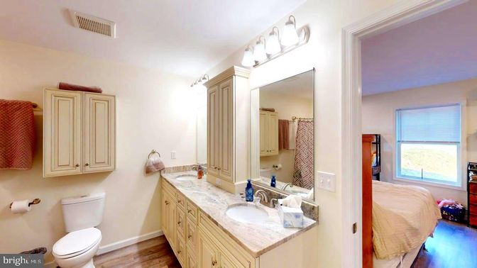 Bathroom, Dual Sink Vanities, Interior, Wood Texture Flooring