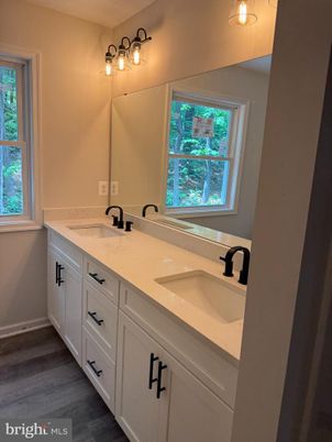 Bathroom, Dual Sink Vanities, Interior, Wood Texture Flooring