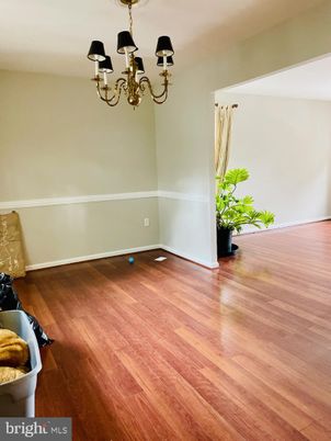 Chandelier, Interior, Wood Texture Flooring