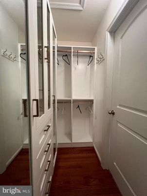 Interior, Walk-in Closets, Wood Texture Flooring