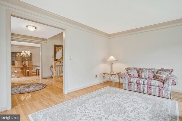 Chandelier, Interior, Wood Texture Flooring