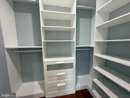 Interior, Walk-in Closets, Wood Texture Flooring