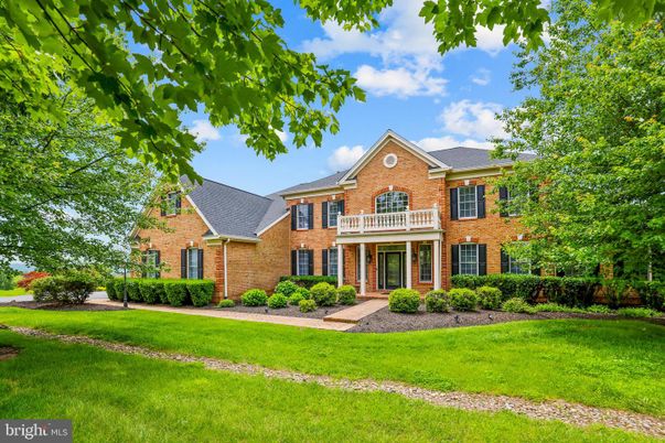Backyard, Exterior, Facade, Brick Facade, French Provincial