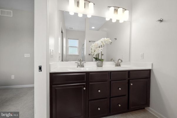 Bathroom, Dual Sink Vanities, Interior