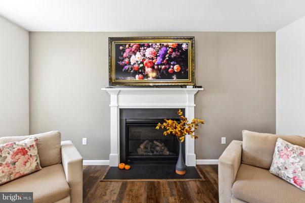 Fireplace, Interior, Wood Texture Flooring