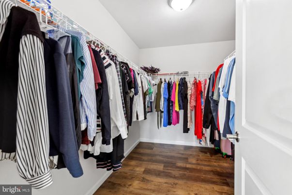 Interior, Walk-in Closets, Wood Texture Flooring