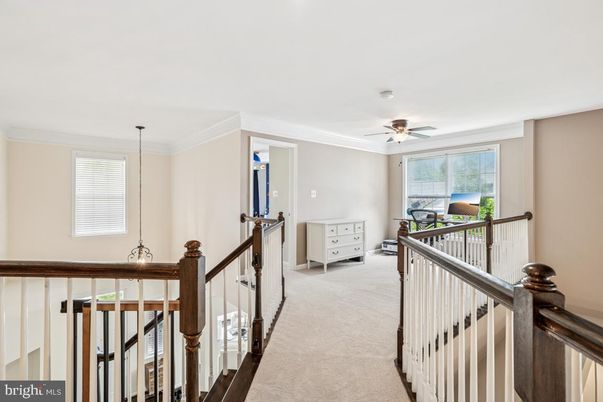 Interior, Pendant Lights