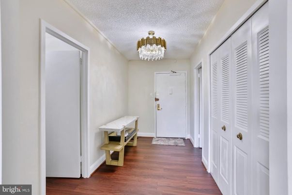 Chandelier, Interior, Wood Texture Flooring