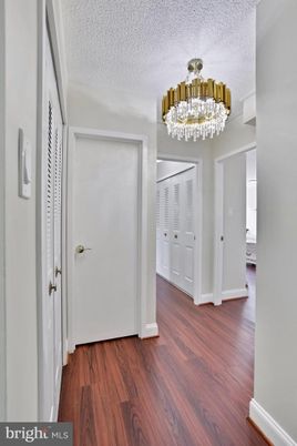 Chandelier, Interior, Wood Texture Flooring