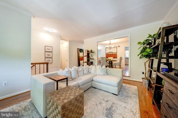 Chandelier, Dining room, Interior, Living room, Wood Texture Flooring